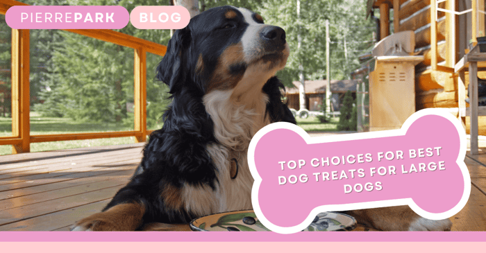 Top Choices for Best Dog Treats for Large Dogs