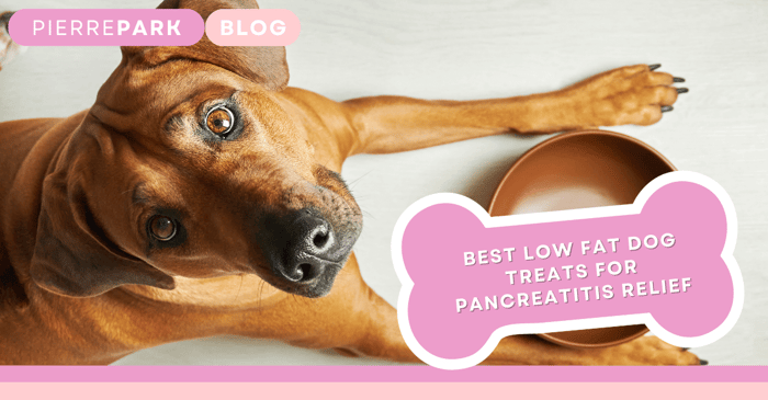 Best Low Fat Dog Treats for Pancreatitis Relief