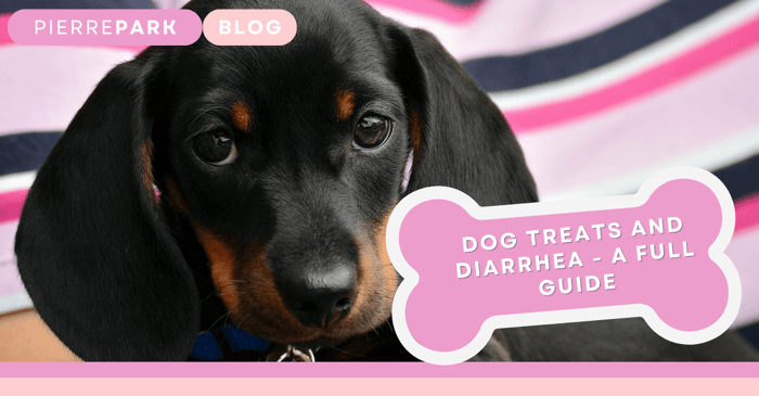 Can Dog Treats Cause Diarrhea? 5 Reasons Why It Can Happen