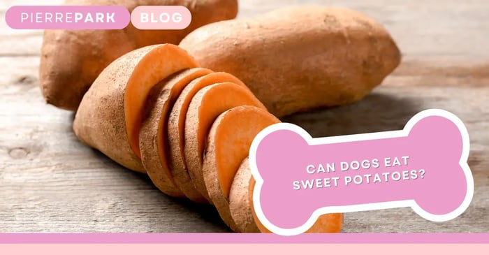 Can Dogs Eat Sweet Potato? Discover If It's Good for Your Dog