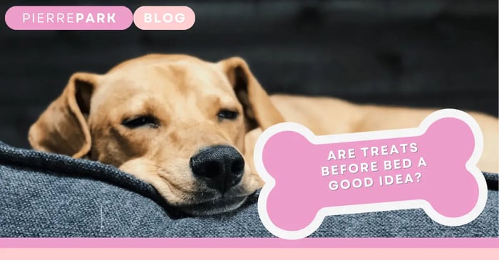 Should I Give My Dog A Treat Before Bed? A Complete Guide