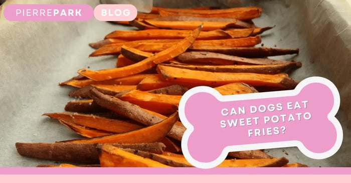 Can Dogs Eat Sweet Potato Fries?