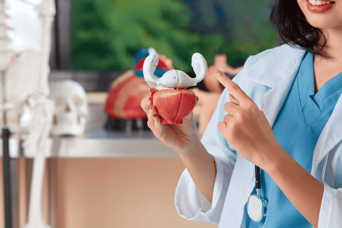 Best Online Anatomy and Physiology Classes for Nursing [2026 Guide]