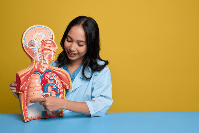 Best Online Anatomy and Physiology Courses: Expert Rankings [2026]