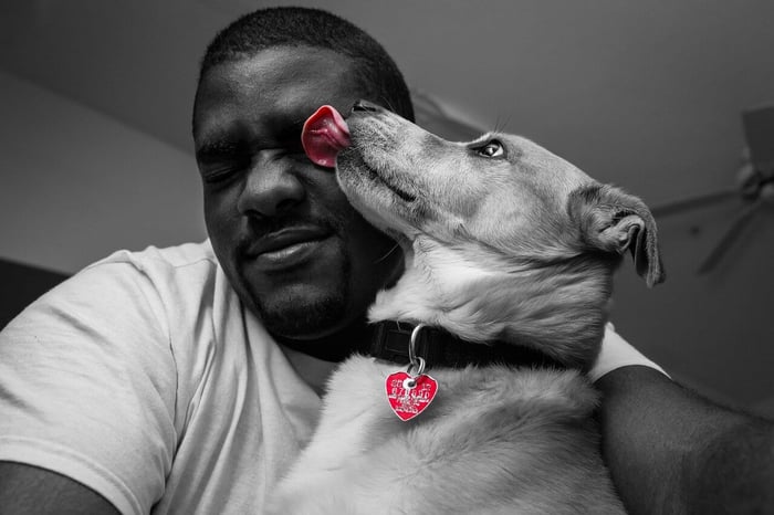 Why Do Dogs Lick You? Find Out Now!