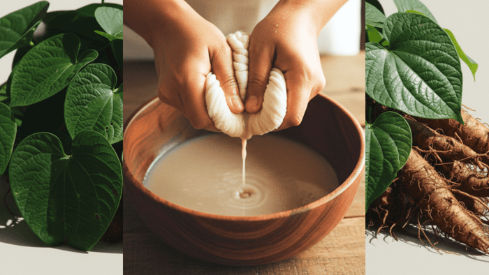 Beginner's Guide to Kava: Origins, Effects, Uses & Safety