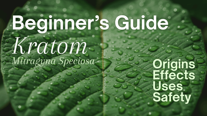 Beginner’s Guide to Kratom: Origins, Effects, Uses & Safety