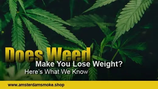 Does Weed Make You Lose Weight? Here's What We Know