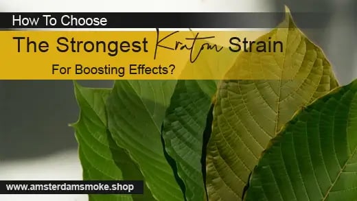 How To Choose The Strongest Kratom For Boosting Effects?
