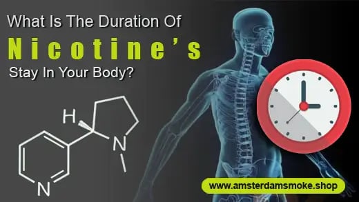 What Is The Duration Of Nicotine's Stay In Your Body?