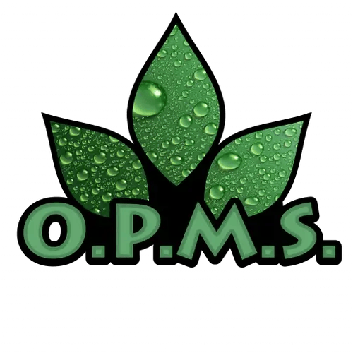 Your Guide To OPMS Kratom Capsules