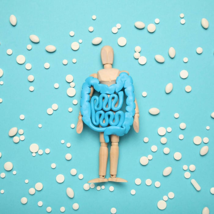 Gut Health & Immunity