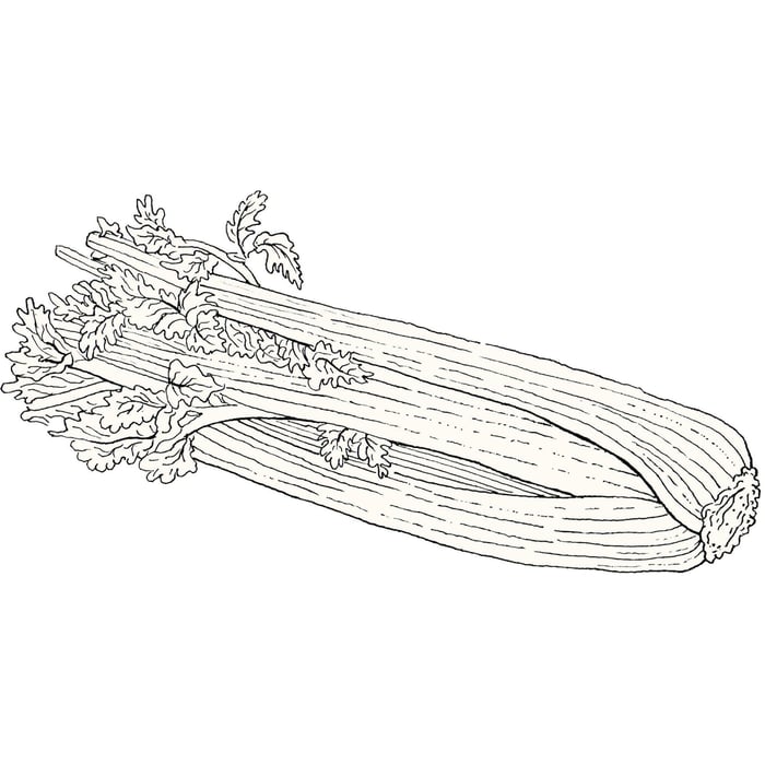 Dos & Don'ts of Celery