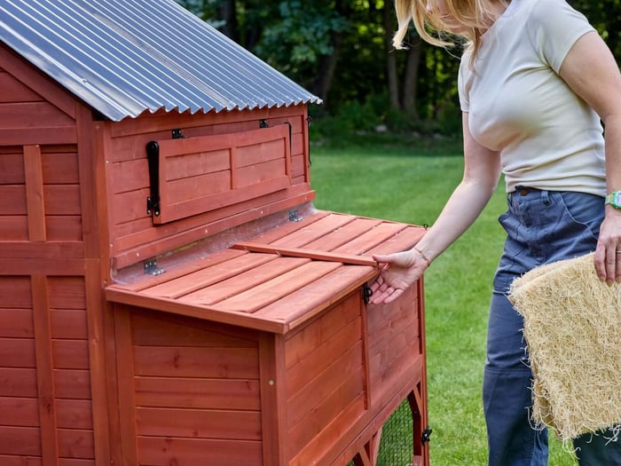 Chicken Coop Upgrades Worth Making This Spring