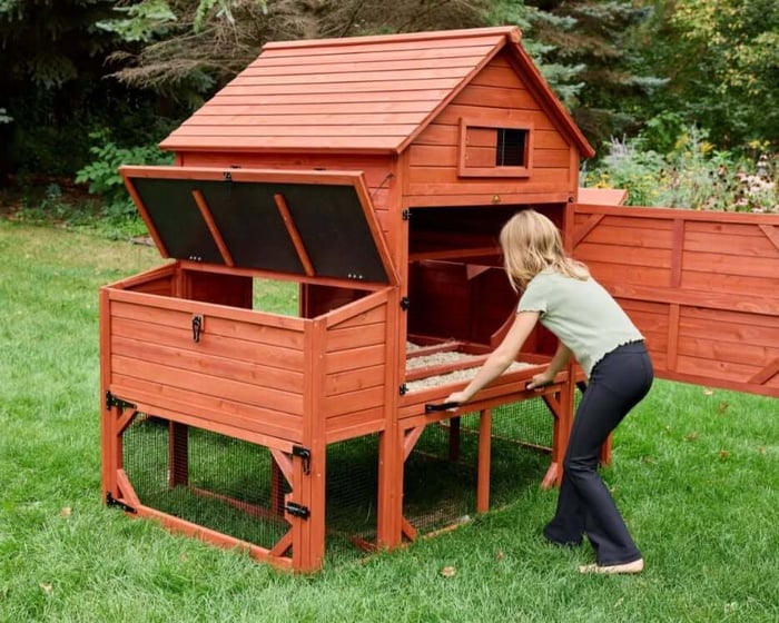 Tips to Keep a Clean Chicken Coop This Summer