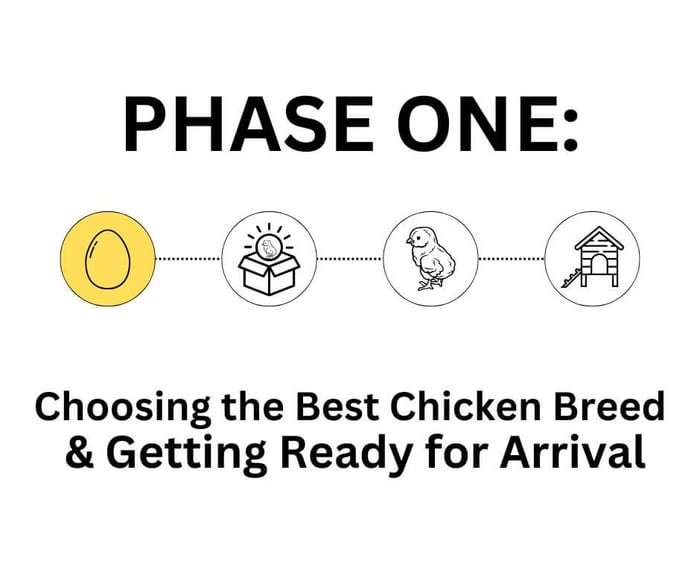 Choosing Chicken Breeds & Getting Ready for Arrival