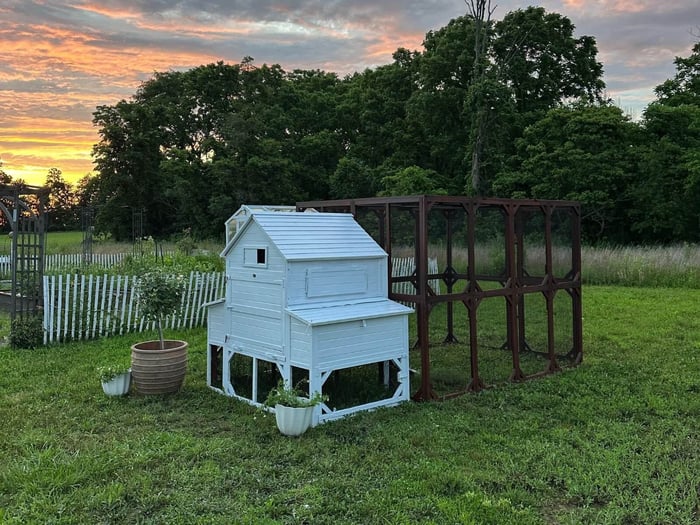 Chicken Coop Decor Ideas From Our Customers