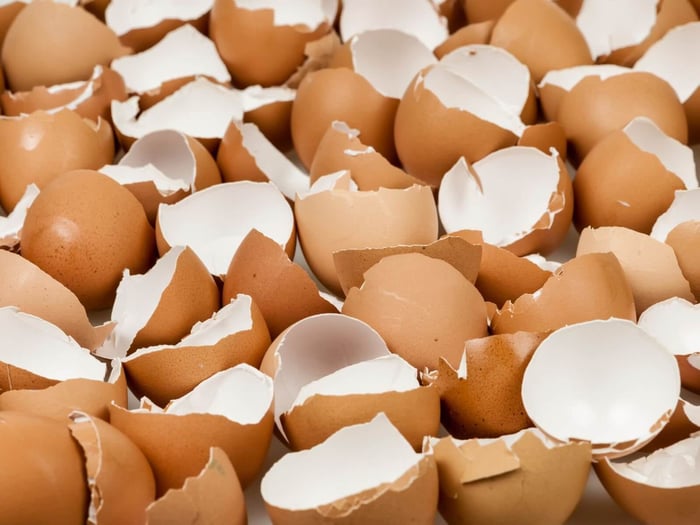 Let’s Talk Egg Shells: Why They’re Too Useful to Toss