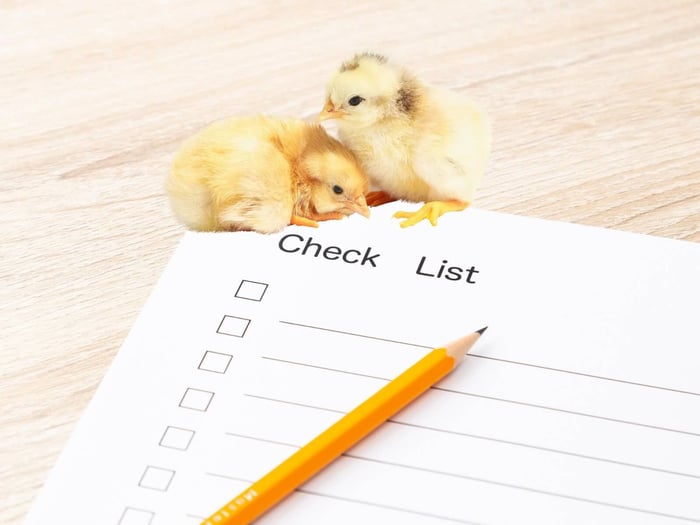 Baby Chick Checklist: What You Need Before Chicks Arrive