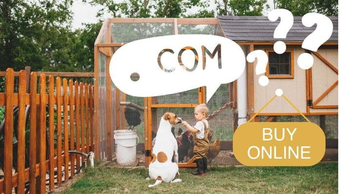 Buying Your First Chicken Coop Online