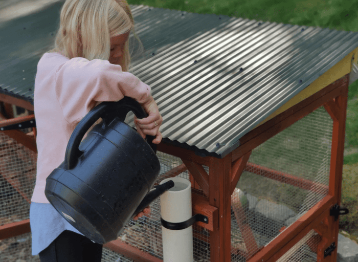 Chicken Watering System: Your Must Have Buying Guide