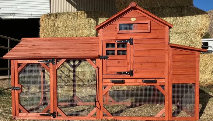 What Should Be Inside a Chicken Coop