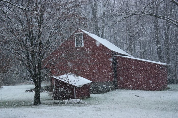 Winterizing Chicken Coop: 6 Super Simple Steps