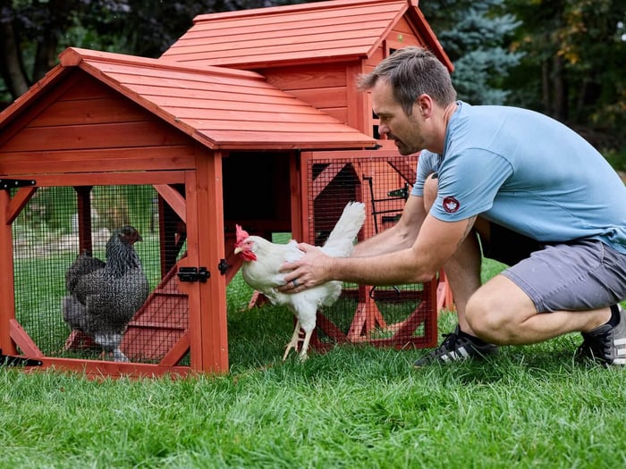 First Time Chicken Nerves (That Are Totally Normal)