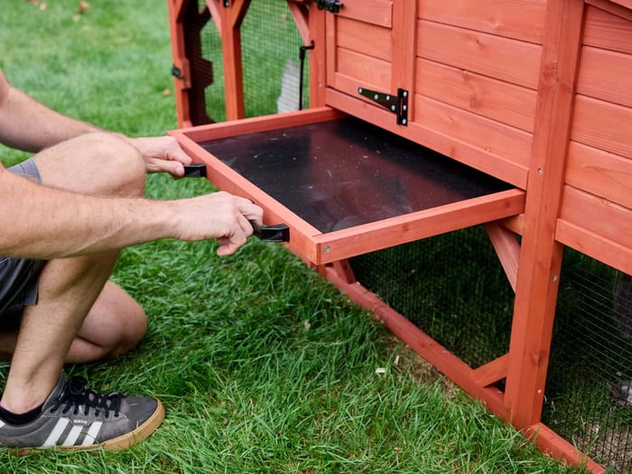 Chicken Coop Cleaning Checklist: What to Clean & When