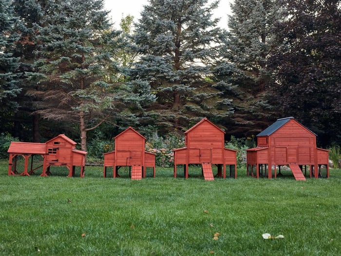 Our Chicken Coops: Find the Best Fit for Your Flock