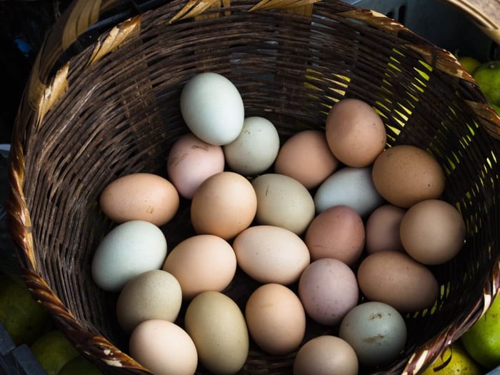 How to Get Chickens to Lay More Eggs