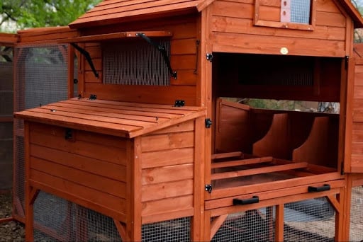 Chicken Nesting Box and 4 Essential Accessories