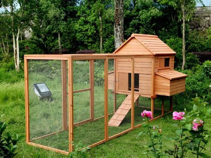 how often to clean chicken coop