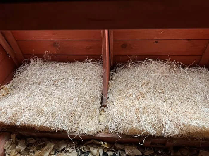 best bedding for chicken coop