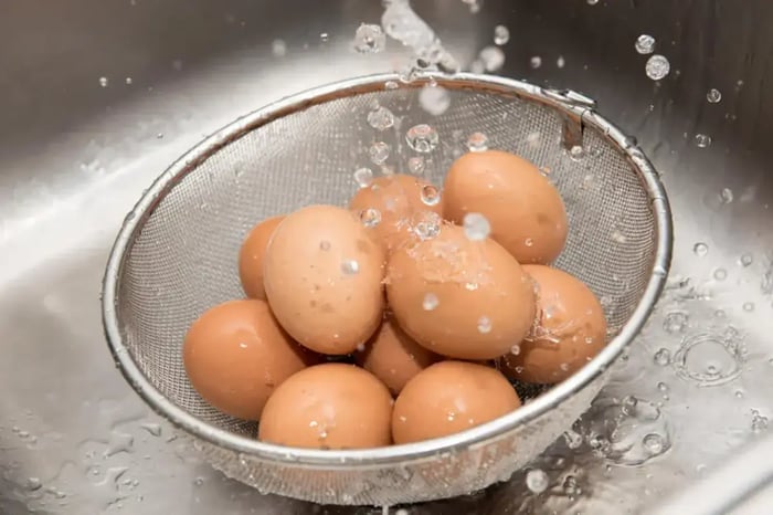 Top 5 Tips For How to Wash Farm Fresh Eggs