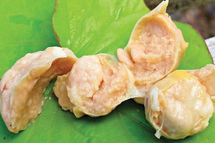 What Is A Lash Egg? Learn Causes, Prevention & Remedies