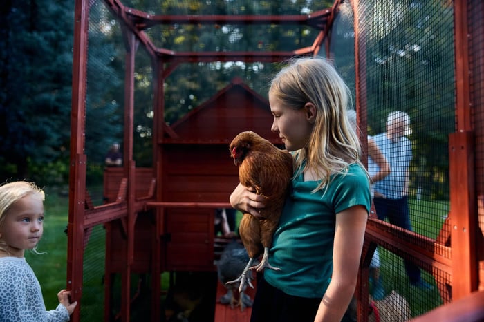 A Smarter Way to Start as a First-Time Chicken Owner