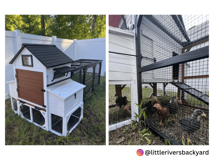 DIY Your Coop: Paint & Stain Inspiration from our customers