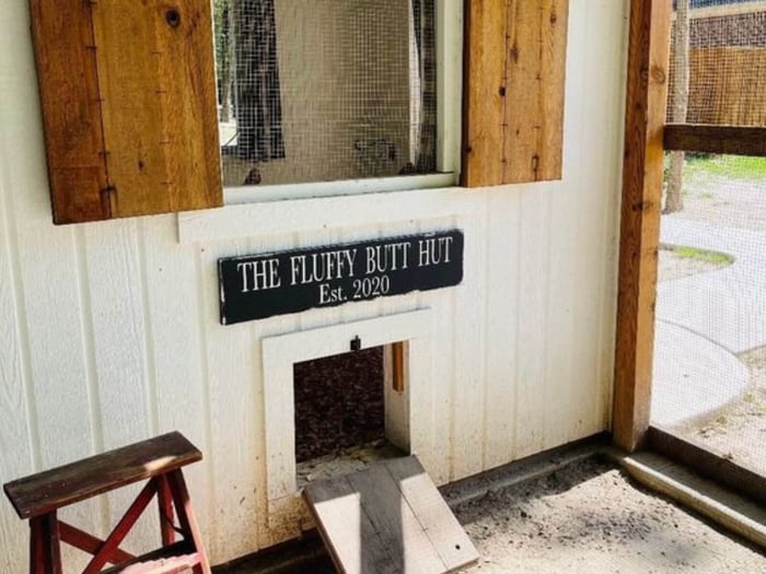 What to Name Your Coop: 50 Ideas to Get You Started