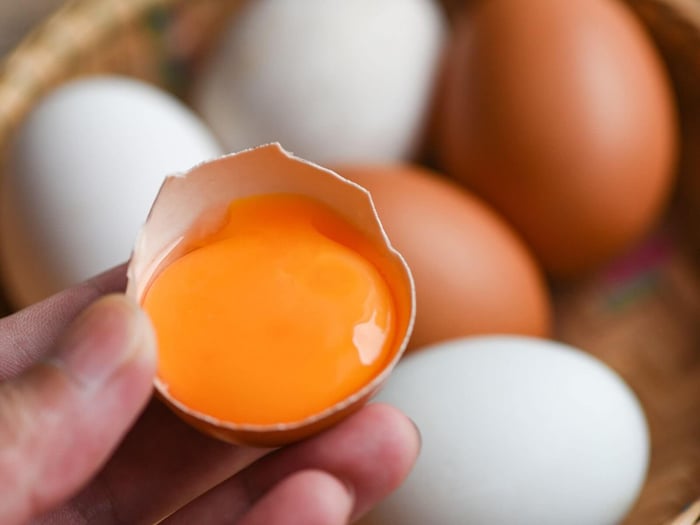 Egg Yolk Color: Why Backyard Eggs Look Different