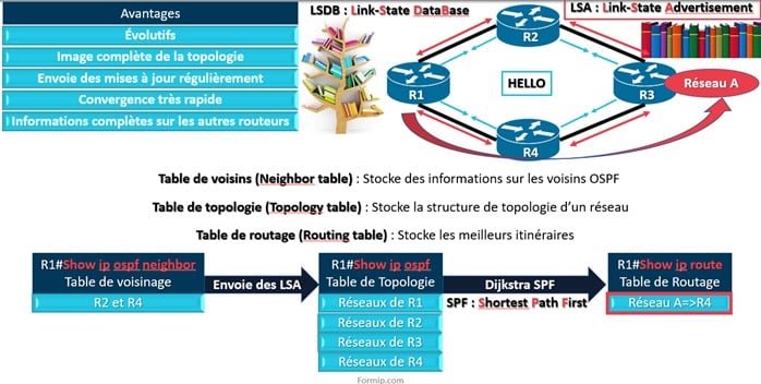 OSPF : Introduction du Open Shortest Path First