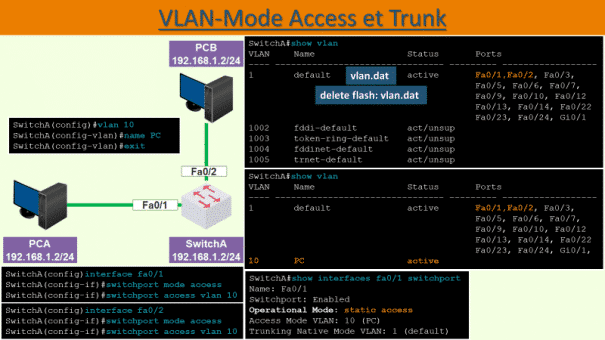 Access Trunk : Streamlined Connectivity