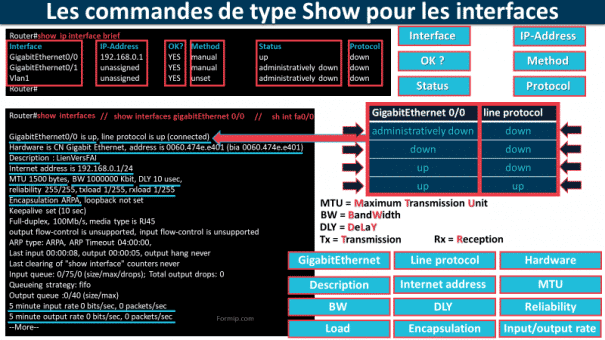 Commandes Show : Type Show pour les interfaces