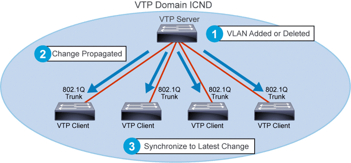 DTP Dynamic Trunking Protocol VLAN Trunking Protocol
