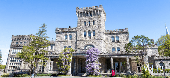 Manhattanville University's EdD Spring 2024 Newsletter!