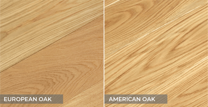 European vs. American Oak: How to Distinguish Between Them