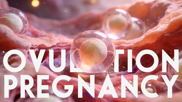 Ovulation illustration showing egg release from the ovary and how ovulation is required for pregnancy and conception.