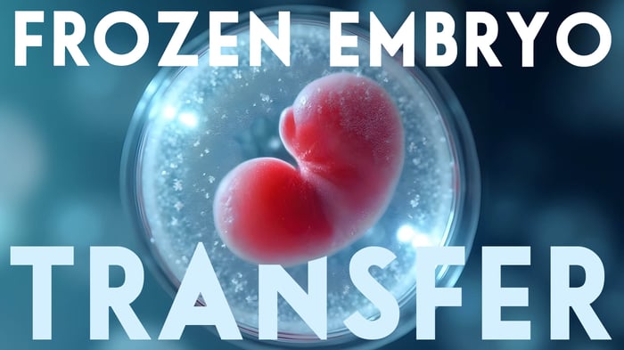Frozen Embryo Transfer