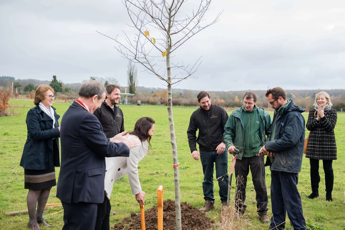 Tree planting for every kitchen we make