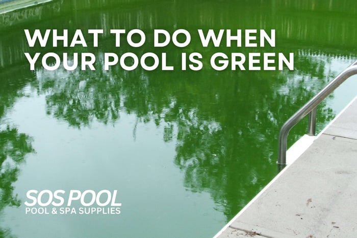 What to Do When Your Pool Turns Green